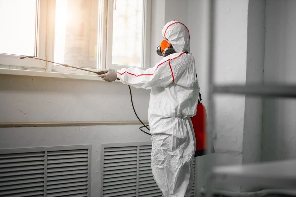 Professional mold remediation services in Midland, GA